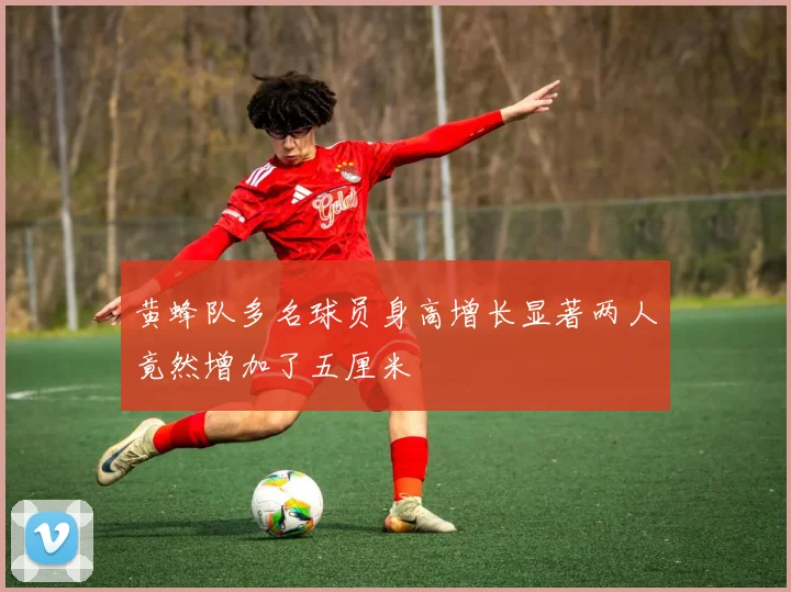 黄蜂队多名球员身高增长显著两人竟然增加了五厘米